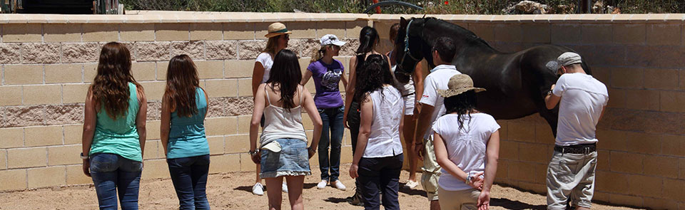 Coaching-de-asociaciones-D-960x295-V4