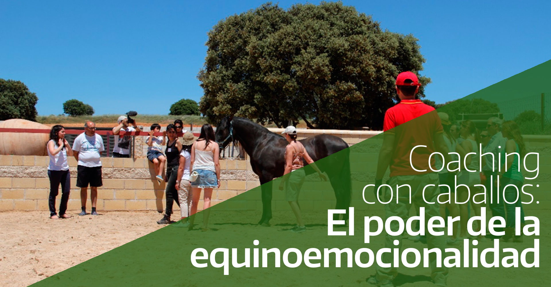 Coaching-con-caballos---El-poder-de-la-equinoemocionalidad