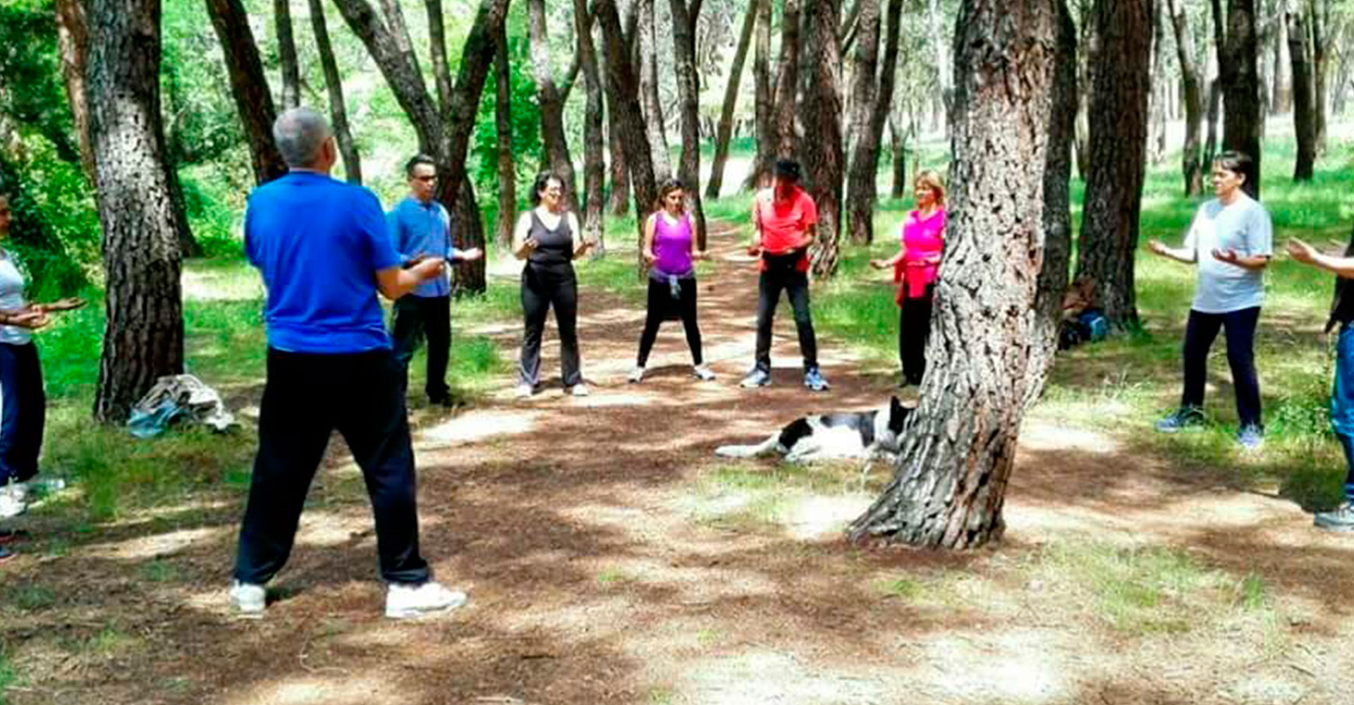 Qigong-e-Inteligencia-Emocional-web-022