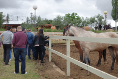 Galeria Llano 2019 - (101)