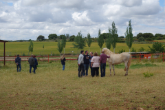 Galeria Llano 2019 - (102)