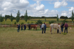 Galeria Llano 2019 - (104)