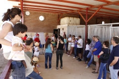 Galeria Llano 2019 - (11)