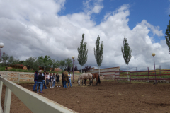 Galeria Llano 2019 - (111)