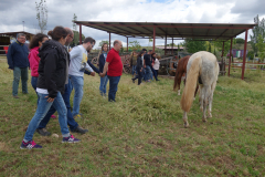 Galeria Llano 2019 - (114)