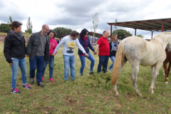 Galeria Llano 2019 - (115)