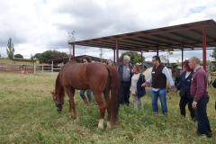 Galeria Llano 2019 - (116)