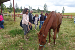 Galeria Llano 2019 - (117)