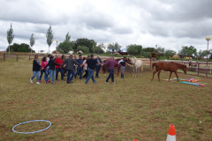 Galeria Llano 2019 - (118)