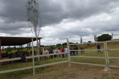 Galeria Llano 2019 - (123)