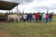 Galeria Llano 2019 - (124)