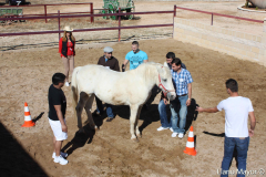 Galeria Llano 2019 - (130)