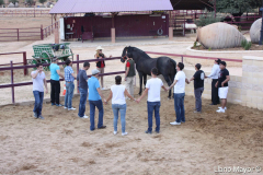 Galeria Llano 2019 - (135)