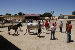 Galeria Llano 2019 - (14)