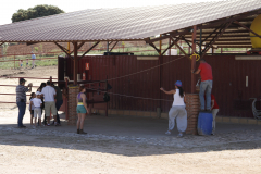 Galeria Llano 2019 - (18)