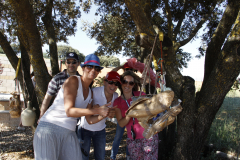 Galeria Llano 2019 - (21)