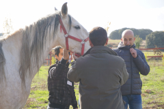 Galeria Llano 2019 - (89)