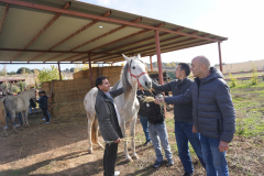 Galeria Llano 2019 - (90)