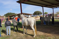 Galeria Llano 2019 - (91)